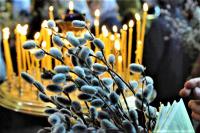 9 апреля 2023 года, в Вербное Воскресенье, в храме Рождества Христова в 12.00 часов состоятся молебен и обряд освящения вербы.