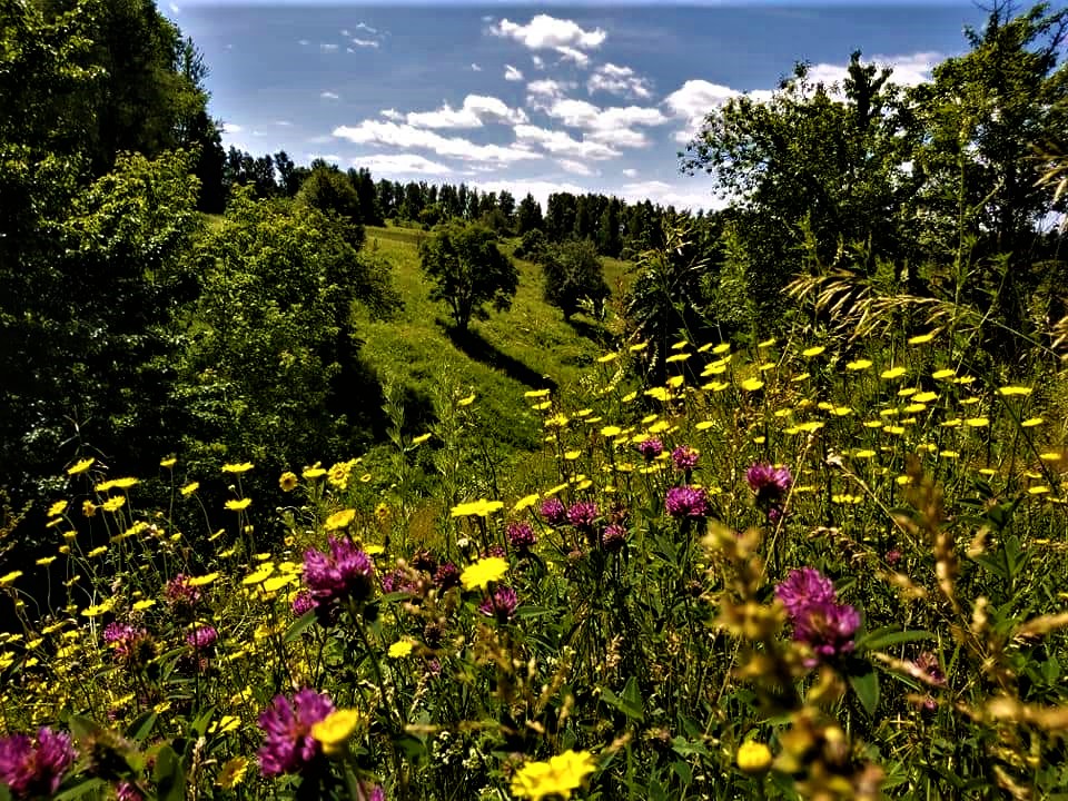 Урочище Лупаково. Окрестности села Мокрый Корь.