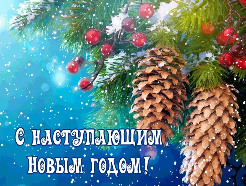 С наступающим Новым Годом!